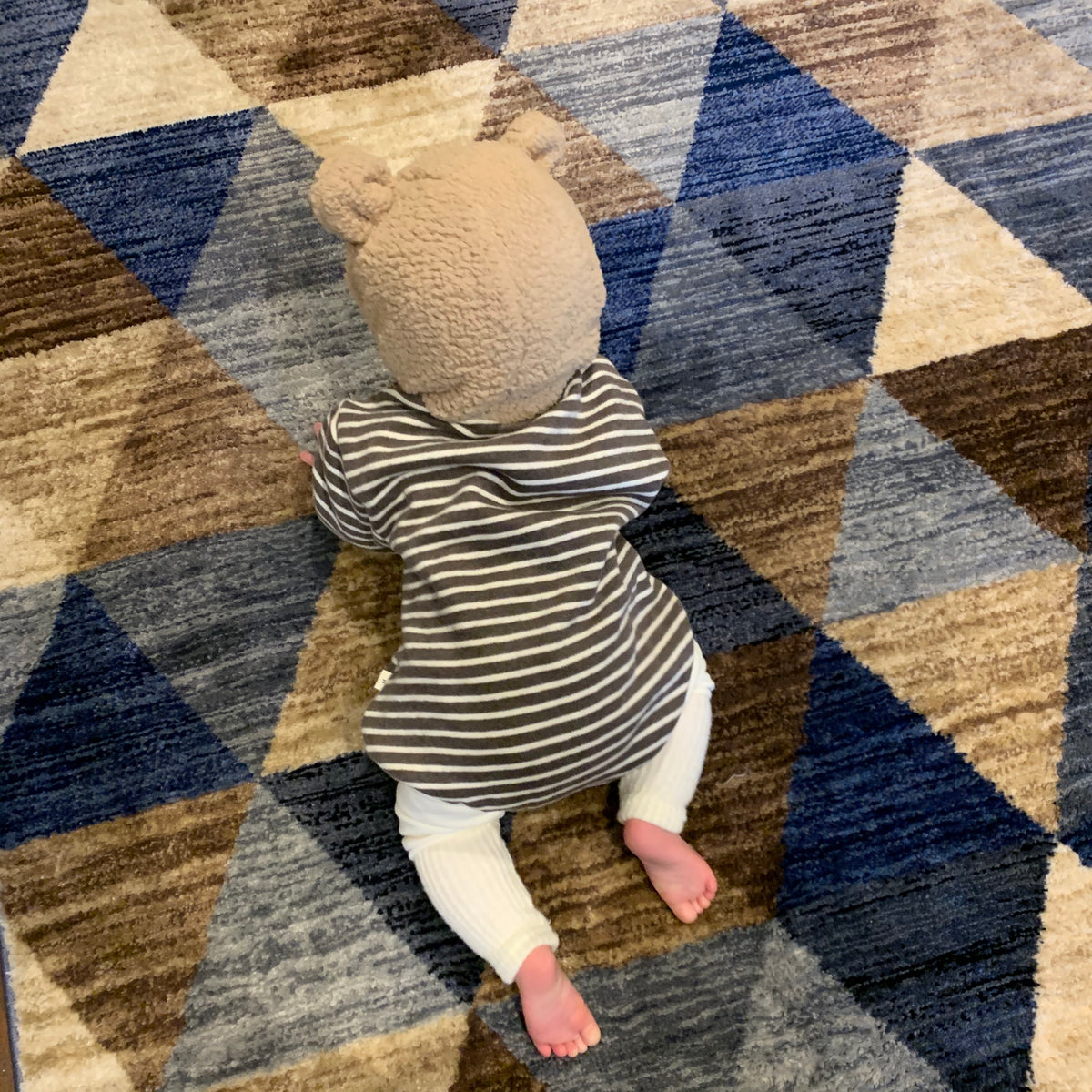 Fleecy bear suit