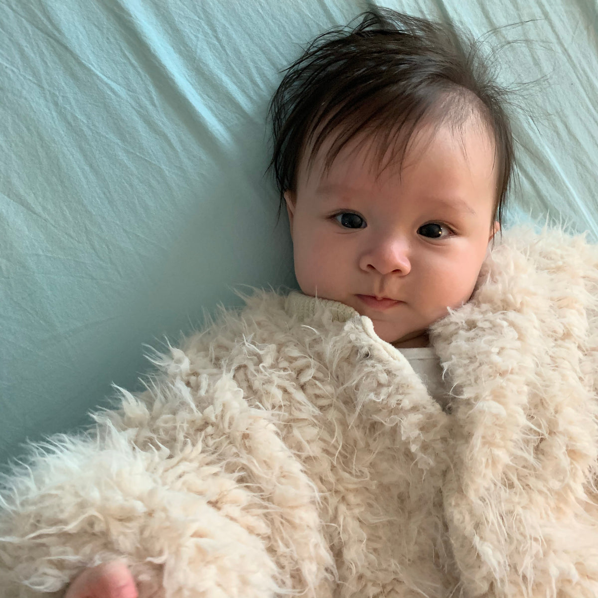 Fluffy bear suit